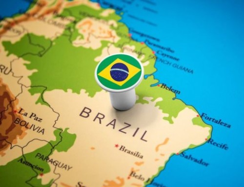 Brazil regularizes the ozone therapy in veterinary